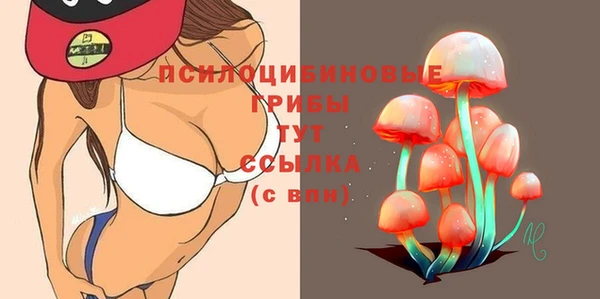 крисы Армянск