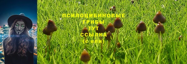МДМА Арсеньев